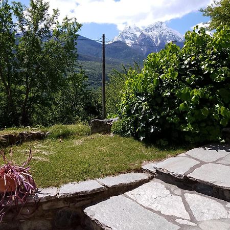 Il Pesco - Cir 0024 Daire Nus Dış mekan fotoğraf